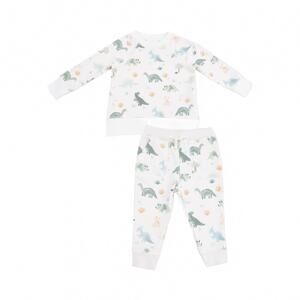 NEW ANGEL DEAR boy's soft dinos french terry raglan set in multi